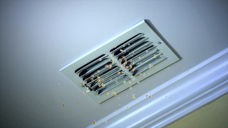 Best Professional Duct Cleaning Services  in Nooksack, WA